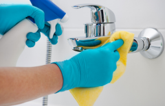 Detailed cleaning service